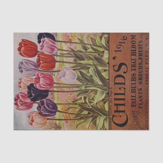 Antike Fall-Tulpen des 1916 Katalog-Seidenpapiers Seidenpapier (Vorderseite)