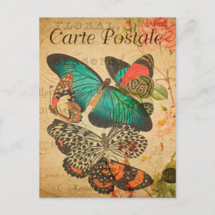 Antike Farbige Schmetterlinge und Motten Französis Postkarte