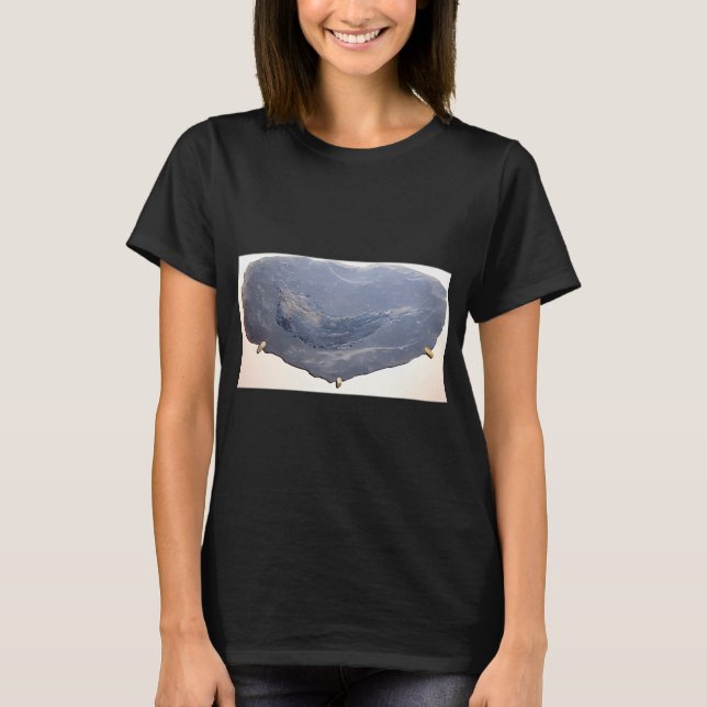 Antike Fischzeichnung T-Shirt (Vorderseite)