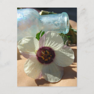 Antike Flasche und eine hübsche Blume Postkarte