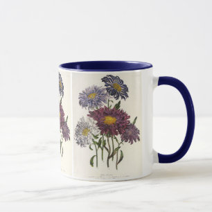 Antike Florale, alte lila Aster-Blüten Tasse