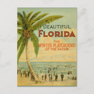 Antike Florida-Winter-Spielplatz-Postkarte Postkarte