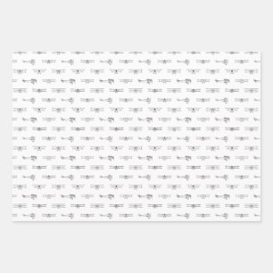 Antike Flugzeuge Luftfahrt Kunst-CUSTOM-FARBE Geschenkpapier Set