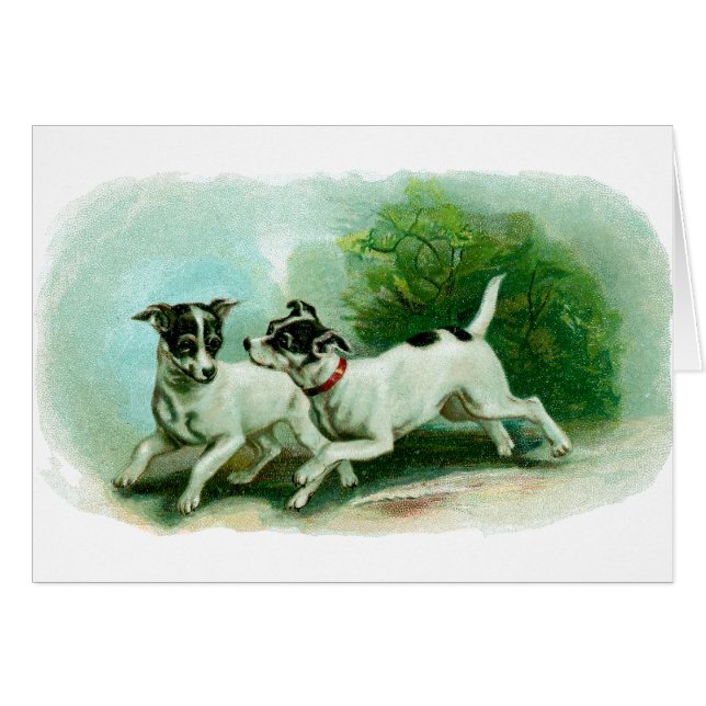 Antike Foxterrier-Illustration (Vorderseite (Horizontal))