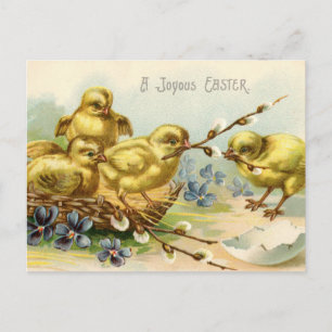 Antike Frohe Ostern Küken schlüpfen aus Ei Feiertagspostkarte