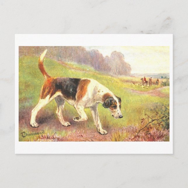 Antike Fuchsjagdpostkarte Postkarte (Vorderseite)