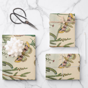 Antike Garteninsekten, Schmetterlinge, Raupen Geschenkpapier Set
