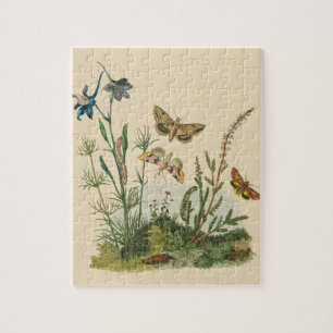 Antike Garteninsekten, Schmetterlinge, Raupen Puzzle