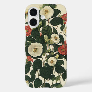 Antike Gartenrosen Blumen im Vintage-Stil iPhone 16 Hülle