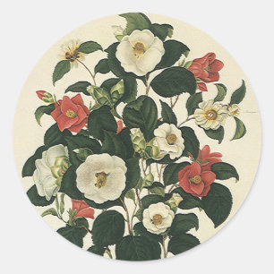 Antike Gartenrosen Blumen im Vintage-Stil Runder Aufkleber
