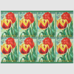 Antike Gartenwerbung, gelbe rote Tulpen Seidenpapier