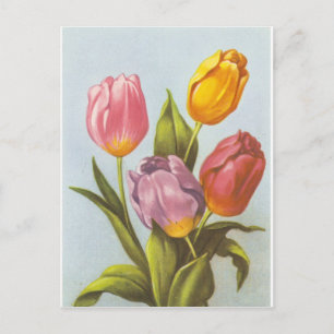 Antike gelbe, rosa und violette Tulpen Postkarte