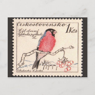 Antike gestochene Briefmarken-Postkarte Postkarte