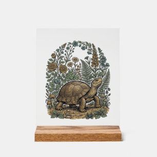 Antike Gravur Schildkröte Botanischer Garten Acrylschild