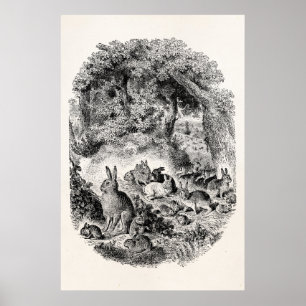 Antike Hasen Kaninchen 1800er Hasen Kaninchen Poster