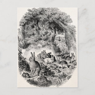 Antike Hasen Kaninchen 1800er Hasen Kaninchen Postkarte