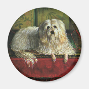 Antike Haustiere, Langhaarschafhund Magnet