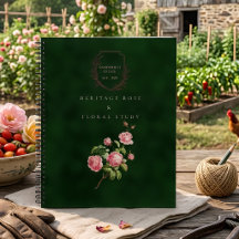 Antike Heritage Dunkelgrüne Gartenrose