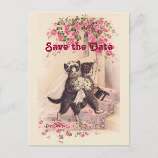 Antike Hochzeitskatzen Postkarte zum Speichern des