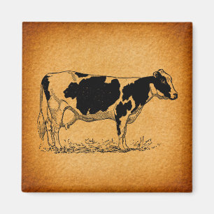 Antike Holstein Kuh Farm Tierbild Magnet