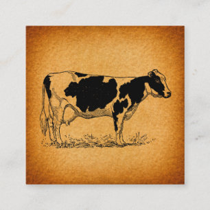Antike Holstein Kuhfarm Illustration Begleitkarte