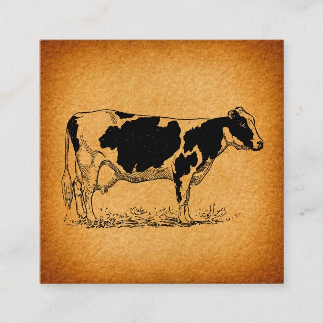Antike Holstein Kuhfarm Illustration Begleitkarte (Vorderseite)