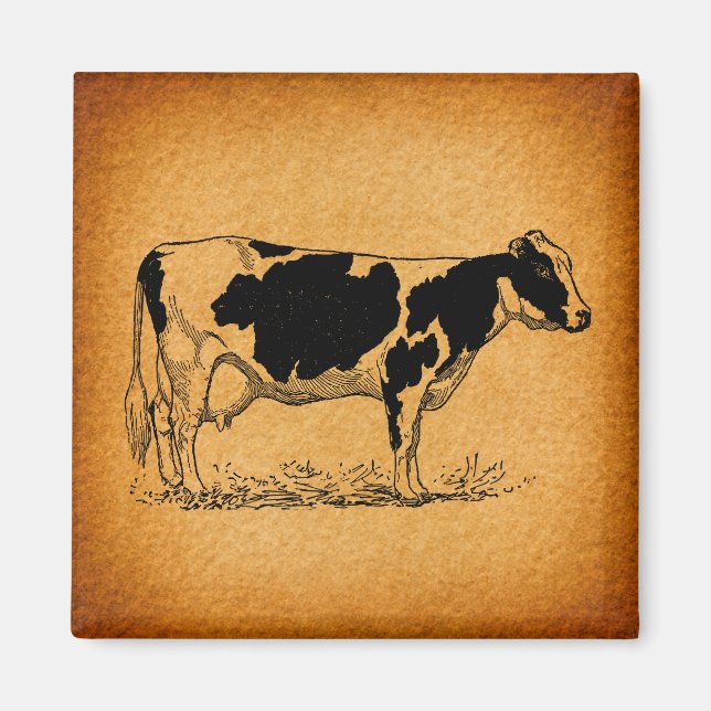Antike Holstein Kuhfarm Illustration Magnet (Vorne)
