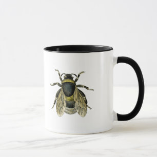 Antike Illustration der Biene Tasse
