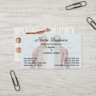 Antike Illustration des menschlichen Nervensystems Visitenkarte