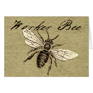 Antike Illustration einer Arbeiterbiene im Vintage