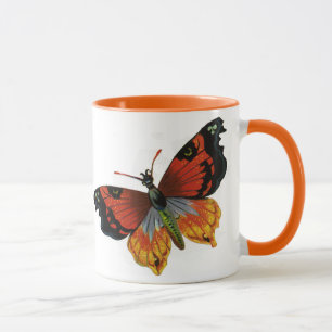 Antike Insekten oder Käfer, schöne Motille Tasse