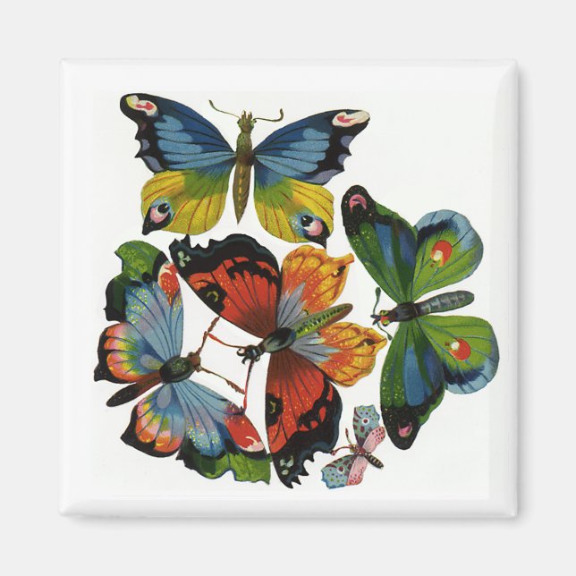 Antike Insekten oder Käfer, schöne Schmetterlinge Magnet (Vorne)
