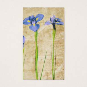 Antike Iris - Vintager Iris-Hintergrund fertigen
