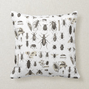 Antike Käfer und Insekten Entomologie Kissen