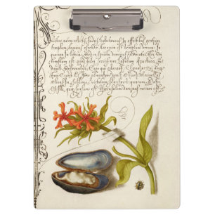 Antike Kalligrafie Text botanische Illustration Klemmbrett
