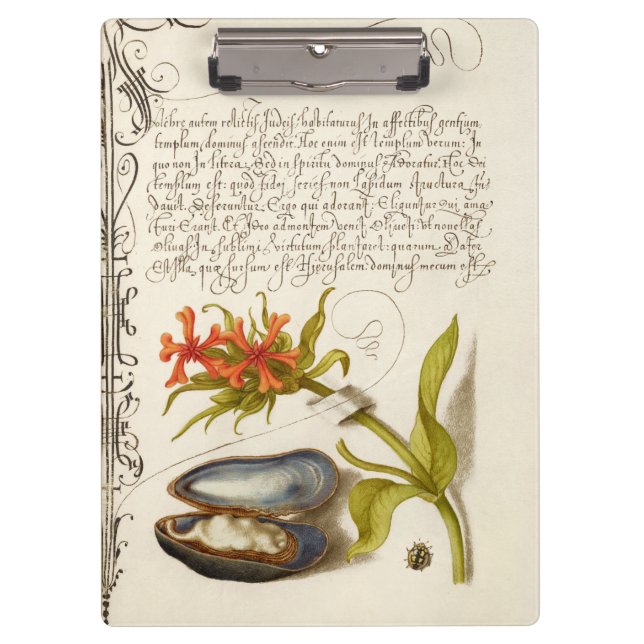 Antike Kalligrafie Text botanische Illustration Klemmbrett (Vorderseite)