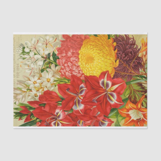 Antike kann Blumen des 1894 Katalog-Seidenpapiers Seidenpapier (Vorderseite)