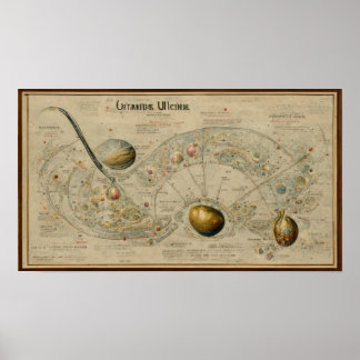 Antike Karte des Uranus Poster