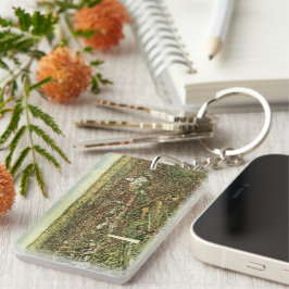 Antike Karte mit Panoramablick auf Washington DC Schlüsselanhänger