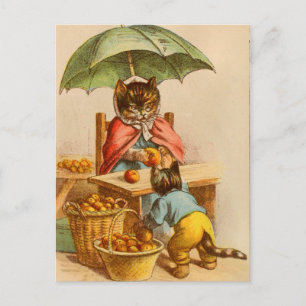 Antike Katze auf einer Obststand-Postkarte Postkarte