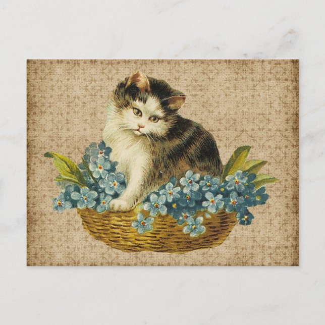 antike Katze im Korb Postkarte (Vorderseite)