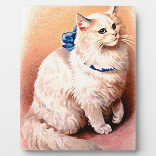 Antike Katze mit blauem Schleif Fotoplatte