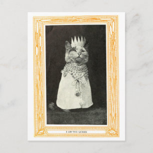 Antike Katzenköniginnen-Buchillustration Postkarte