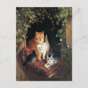 Antike Katzenpostkarte Postkarte