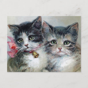Antike Katzenpostkarte Postkarte