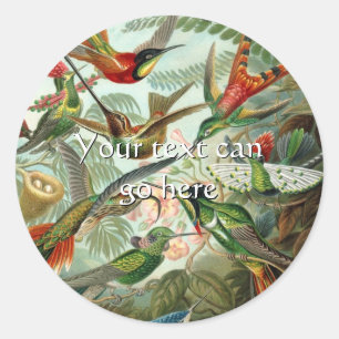 Antike Kolibris Runder Aufkleber