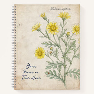 Antike Korn-Margerite Botanisch Notizbuch