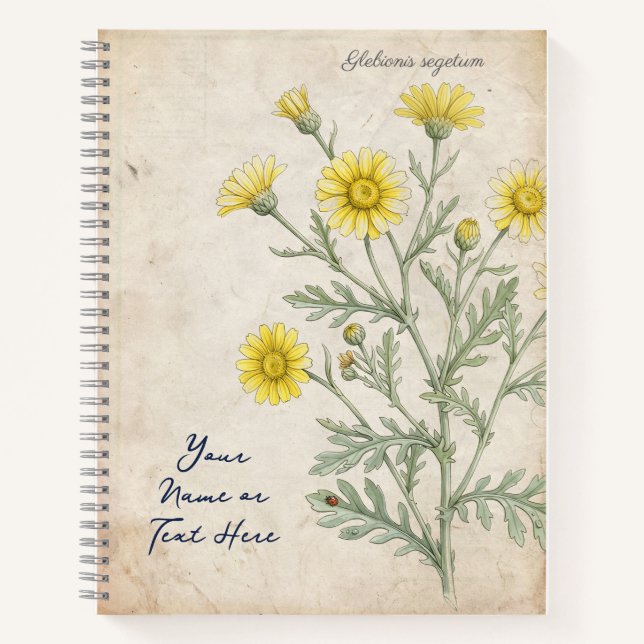 Antike Korn-Margerite Botanisch Notizbuch (Vorderseite)