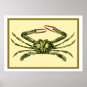 Antike Krabbe Poster