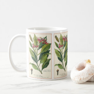 Antike Kräuter und Gewürze für Lebensmittel, Nelke Tasse